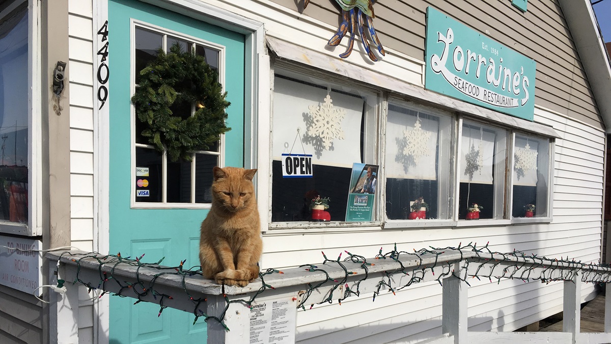 Tangier Island Holly Run