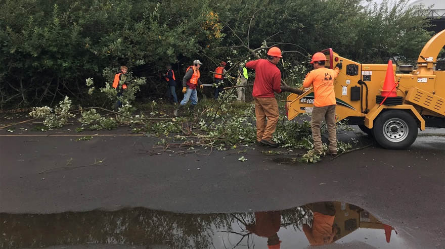 Photo courtesy of Friends of Pacific City Airport.