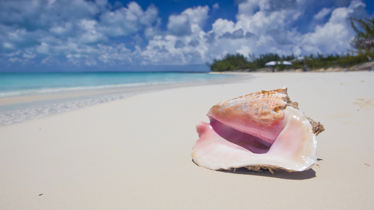 Sandy beaches