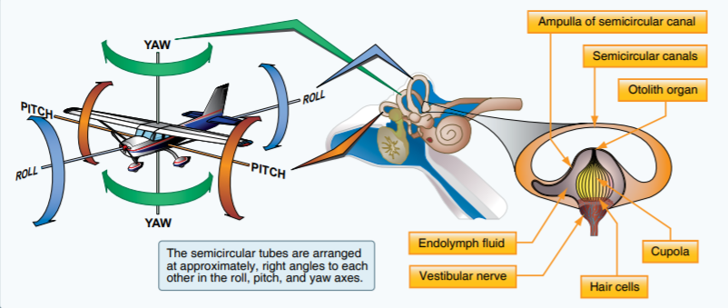 Image from the FAA’s Pilot’s Handbook of Aeronautical Knowledge 