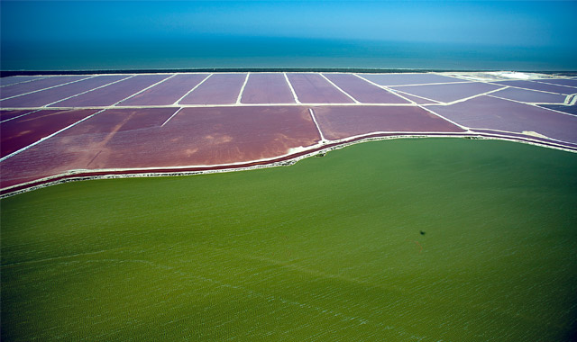 salt works