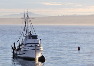 A fishing boat moored on Montery Bay.