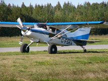 Maule 6