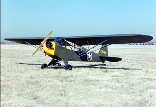 WWII Liaison Aircraft, L-Bird