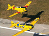 warbirds in formation