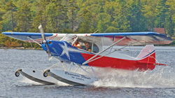 American Legend FloatCub