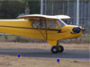 cub