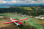 nz