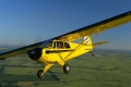 Aviat Husky A1