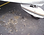 Traces of bird activity on the ramp