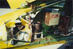Bird damage on L39 jet