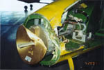 Bird damage on L39 jet
