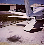 Bird strike