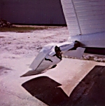 Bird strike