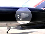 Bird damage on an Extra 300