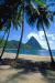 Caribbean Flying Adventures logo