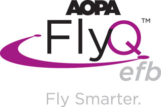 flyq logo
