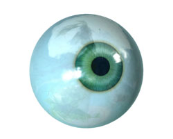 vision_color.jpg
