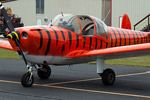 TigerFlight paint scheme