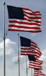 U.S. flags