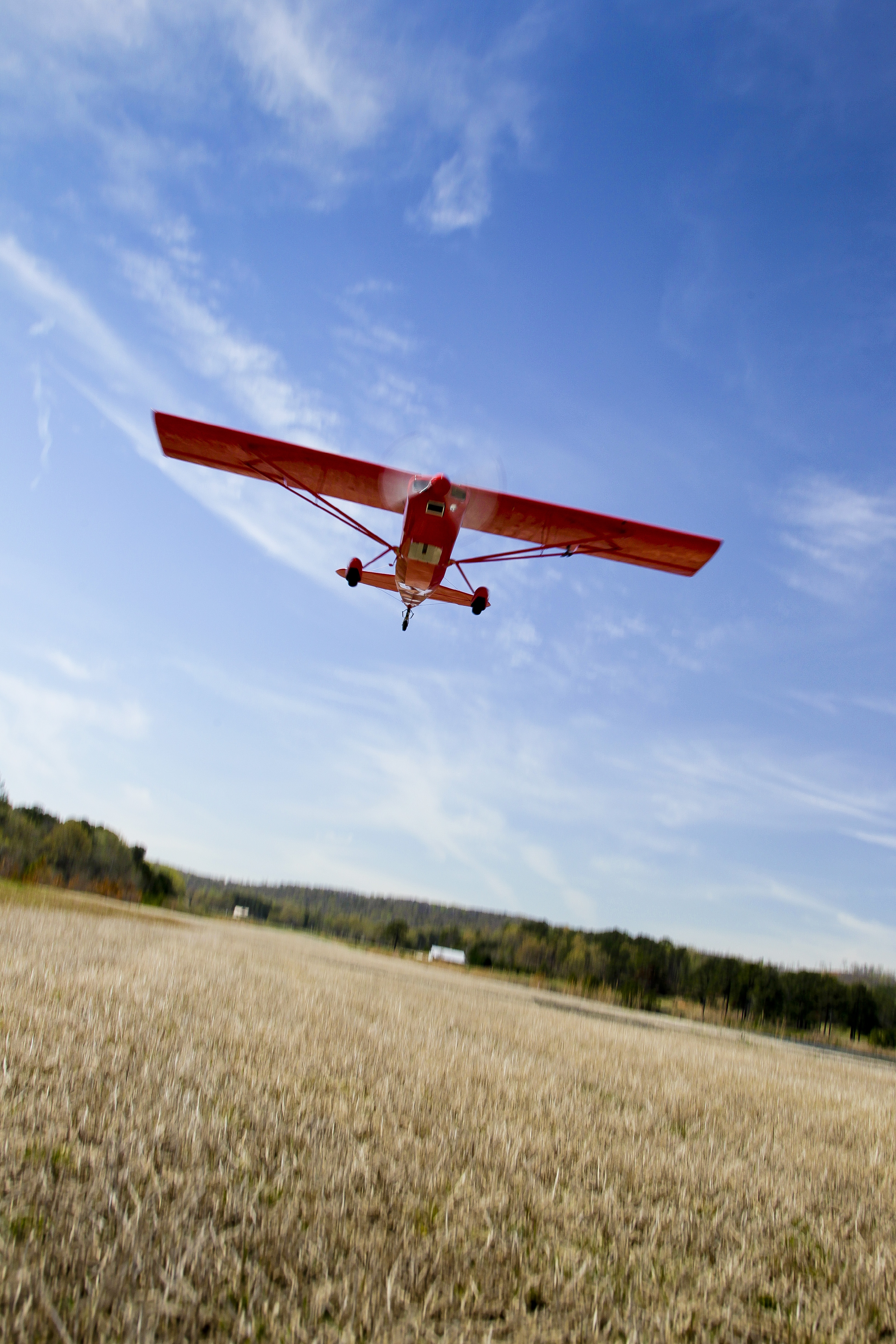 American Champion Extreme Decathlon Aopa
