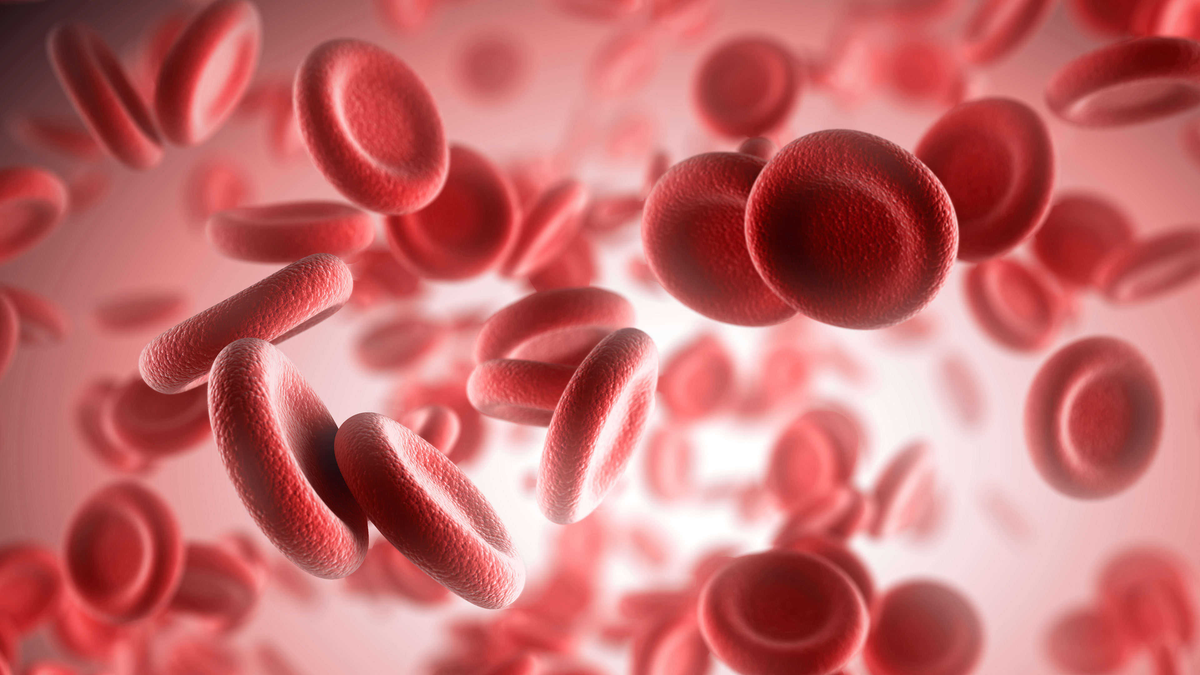 Red Blood Cells