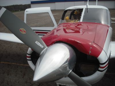 A Piper Comanche was damaged on April 11, 2010, after striking a bald eagle near Middlefield, Ohio. FAA photo (taken by the owner). 