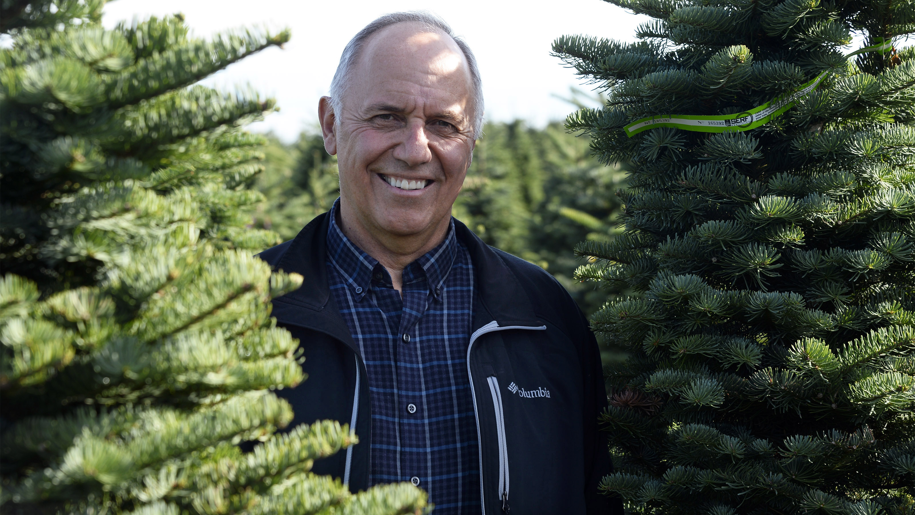 Noble Mountain Tree Farm's general manager and Rusty Pilot Bob Schaefer considers the tree farming firm's Noble, Douglas, and Nordmann fir trees as his 'babies.' Oregon's Christmas tree business accounts for more than $109 million in economic benefits to the state, according to a 2007 study. Photo by David Tulis.