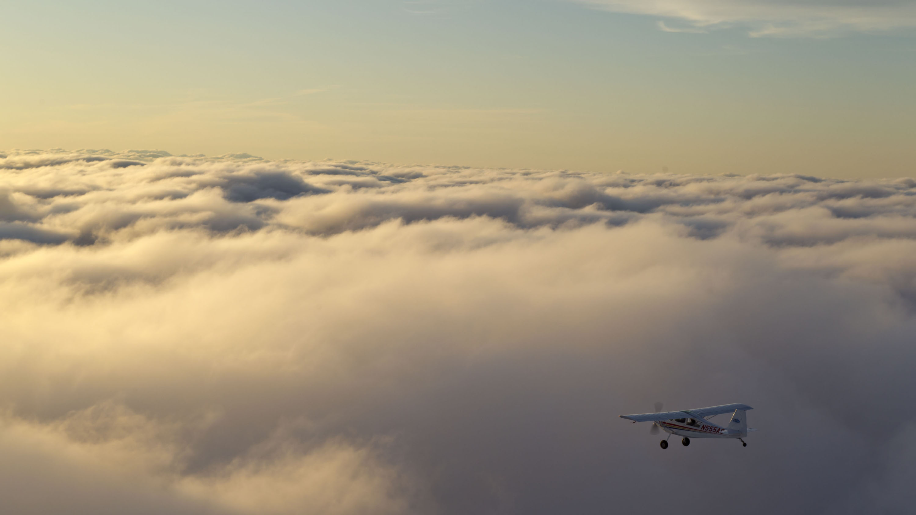 Photo by Mike Fizer.