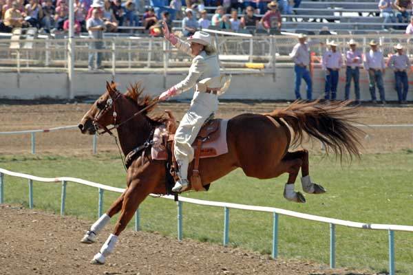 The rodeo begins with the Grand Entry, where flag bearers on horseback run and jump into the arena. This is followed by the Rodeo Queen and her court, who blast into the arena on horseback at breakneck speed, make death-defying jumps over the track fences, and then stop with dirt flying. This tradition dates to 1933 when a Queen’s horse ran off and jumped the track fence with the Queen in the saddle. The crowd roared such approval that it’s been repeated ever since. Photo by Bob Click, courtesy Pendleton Round-Up.