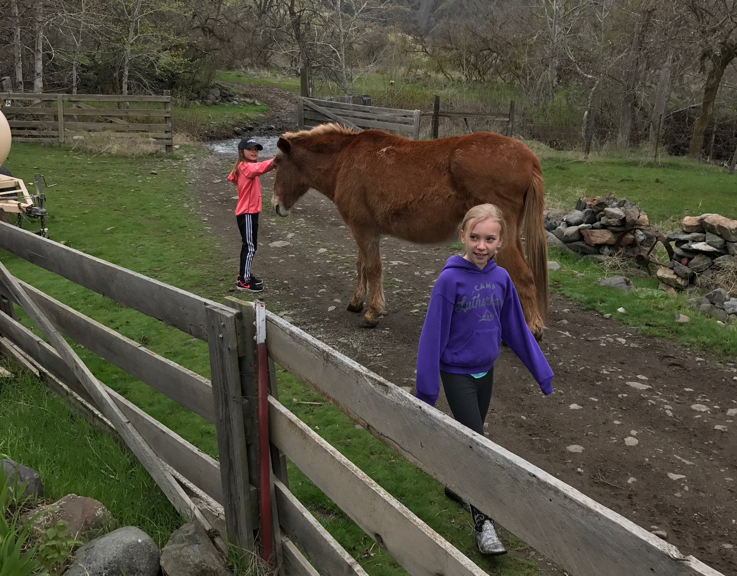 Alanis and Emma know that Festus, the 30+-year-old mule at Temperance Creek Ranch, loves to have his head scratched. Festus and the ranch’s other friendly mule can usually be found hanging out near the lodge. Photo by Alan Bobo.