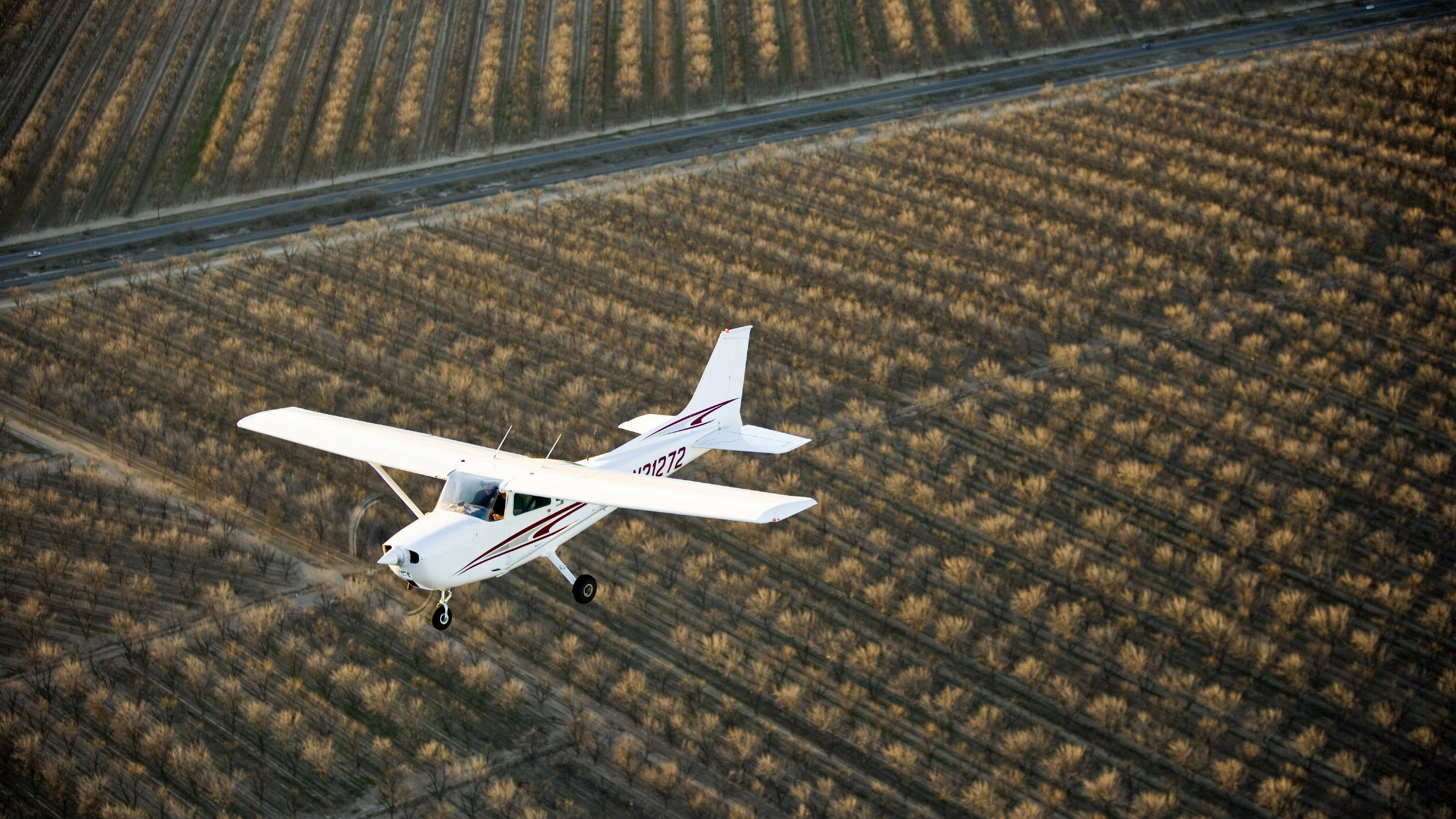 Photo by Mike Fizer.