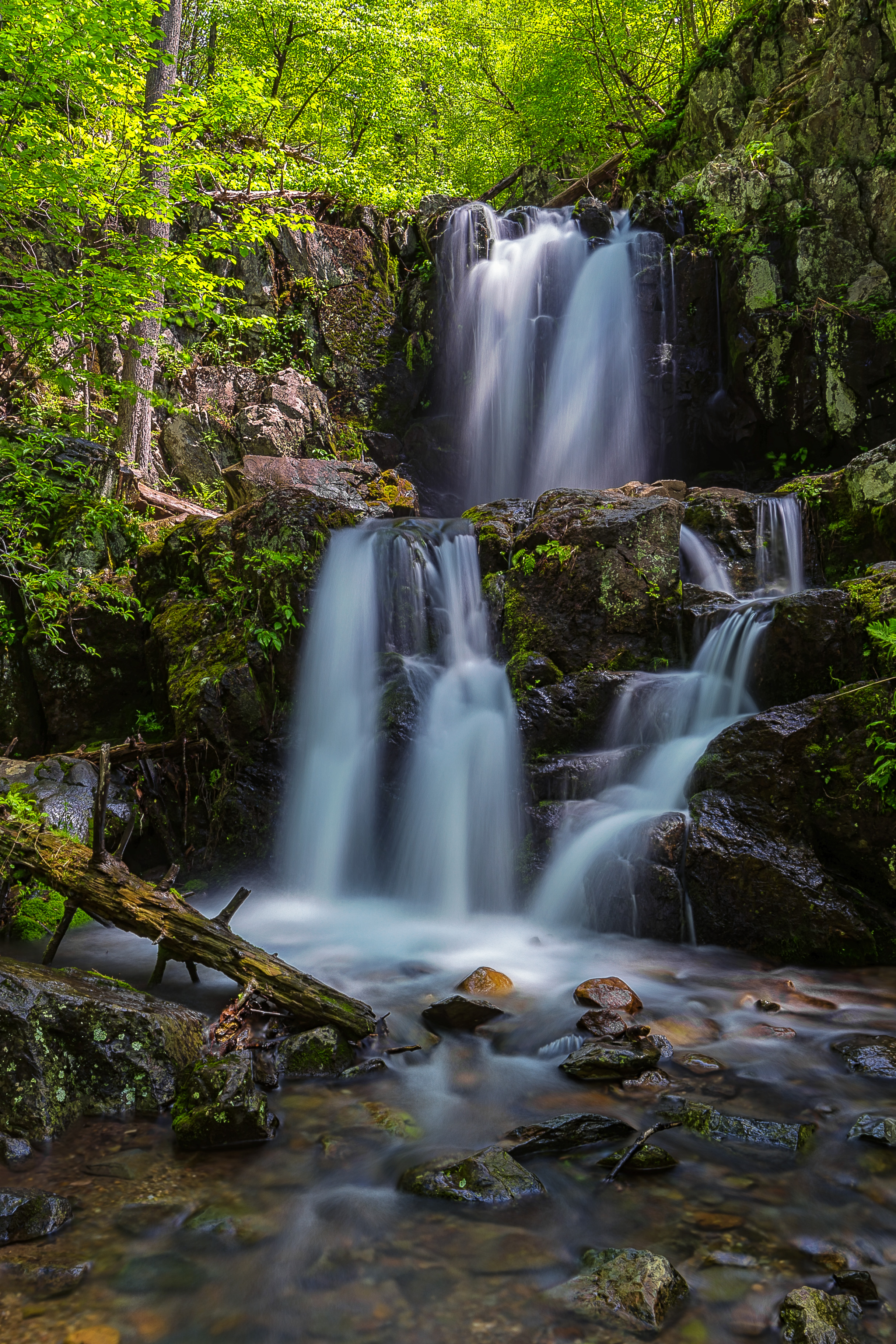 Doyles River Falls in Shenandoah National Park. Photo by Lukas Schlagenhauf via Flickr.