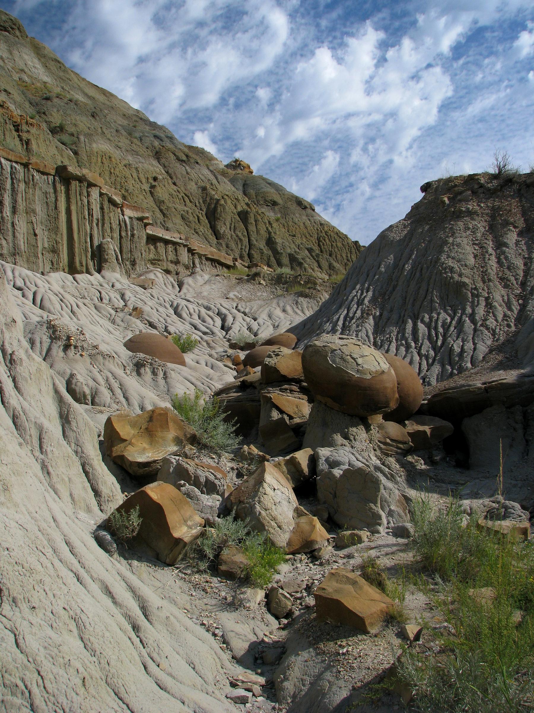 Cannonball concretions in the Badlands of Theodore Roosevelt National Park, North Unit. Concretions form within layers of sedimentary strata, before the sediments harden into rock, and are later exposed by erosion. Photo by M Duchek via Wikipedia.