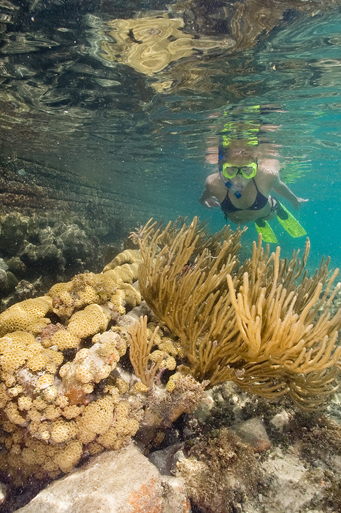 Snorkel the reefs along the wall of Fort Jefferson at Dry Tortugas National Park. Photo courtesy Key West Seaplane Charters.