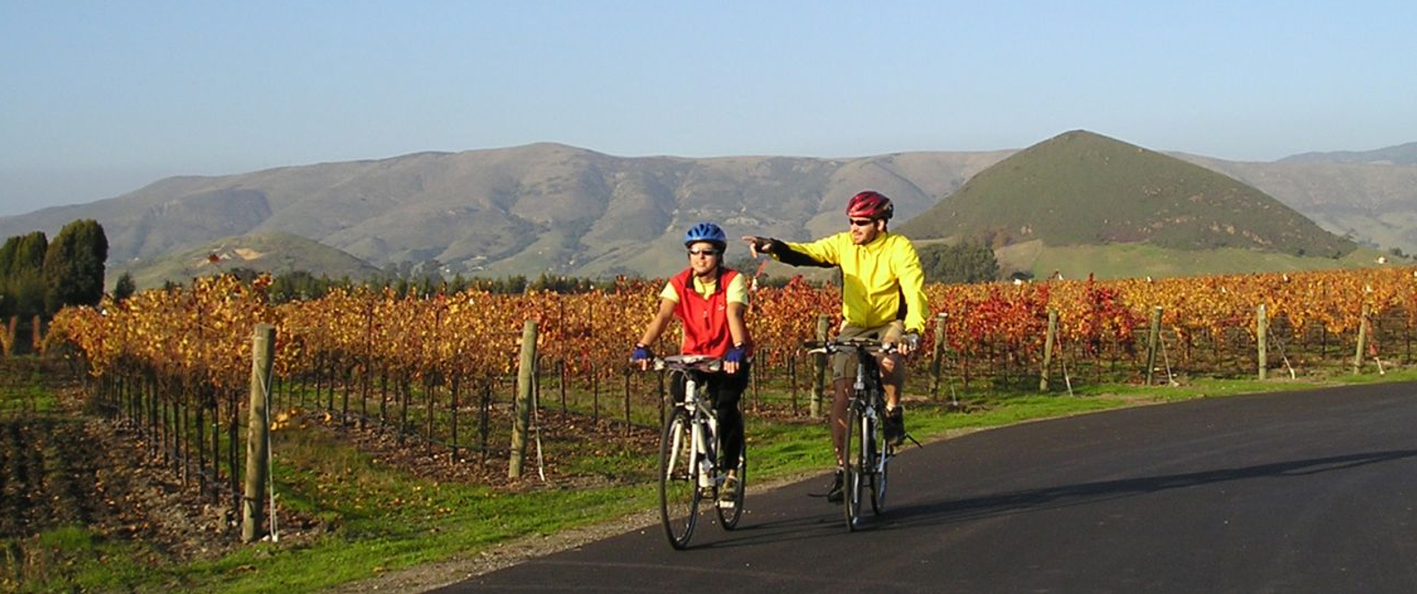 Touring Edna Valley’s vineyards via bicycle. Photo courtesy CaliforniaBicycleTour.com.