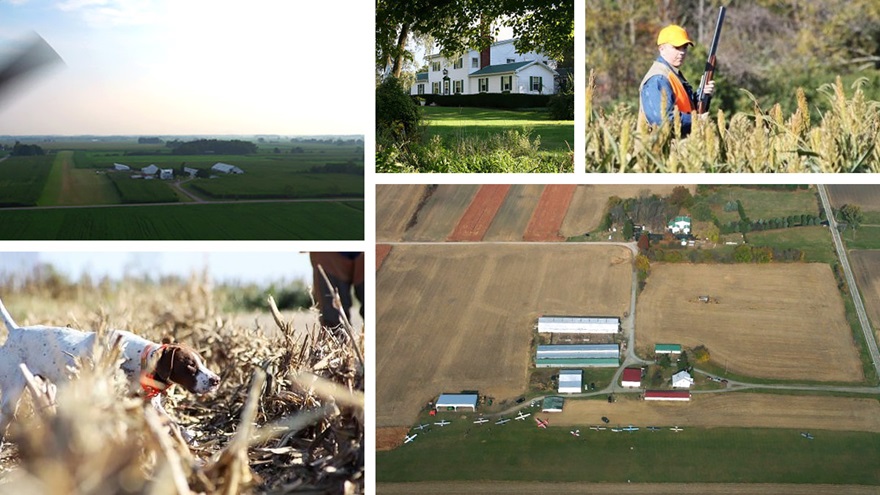 Photos courtesy of Cherrybend Pheasent Farm. Composite by AOPA staff.