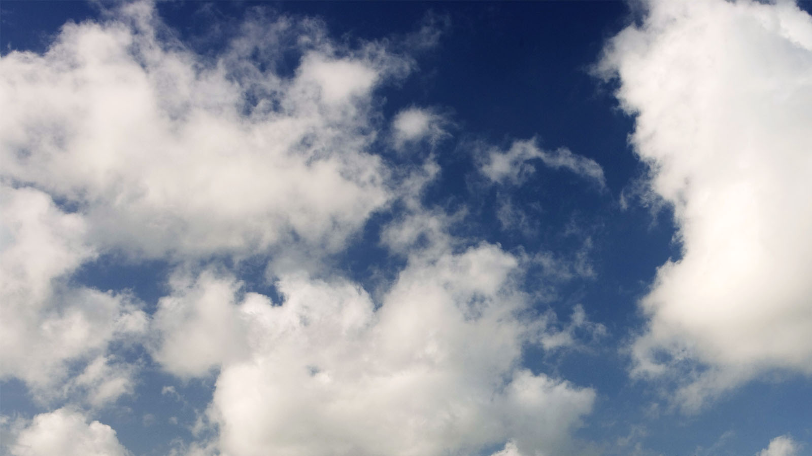 Photo by Mike Fizer.