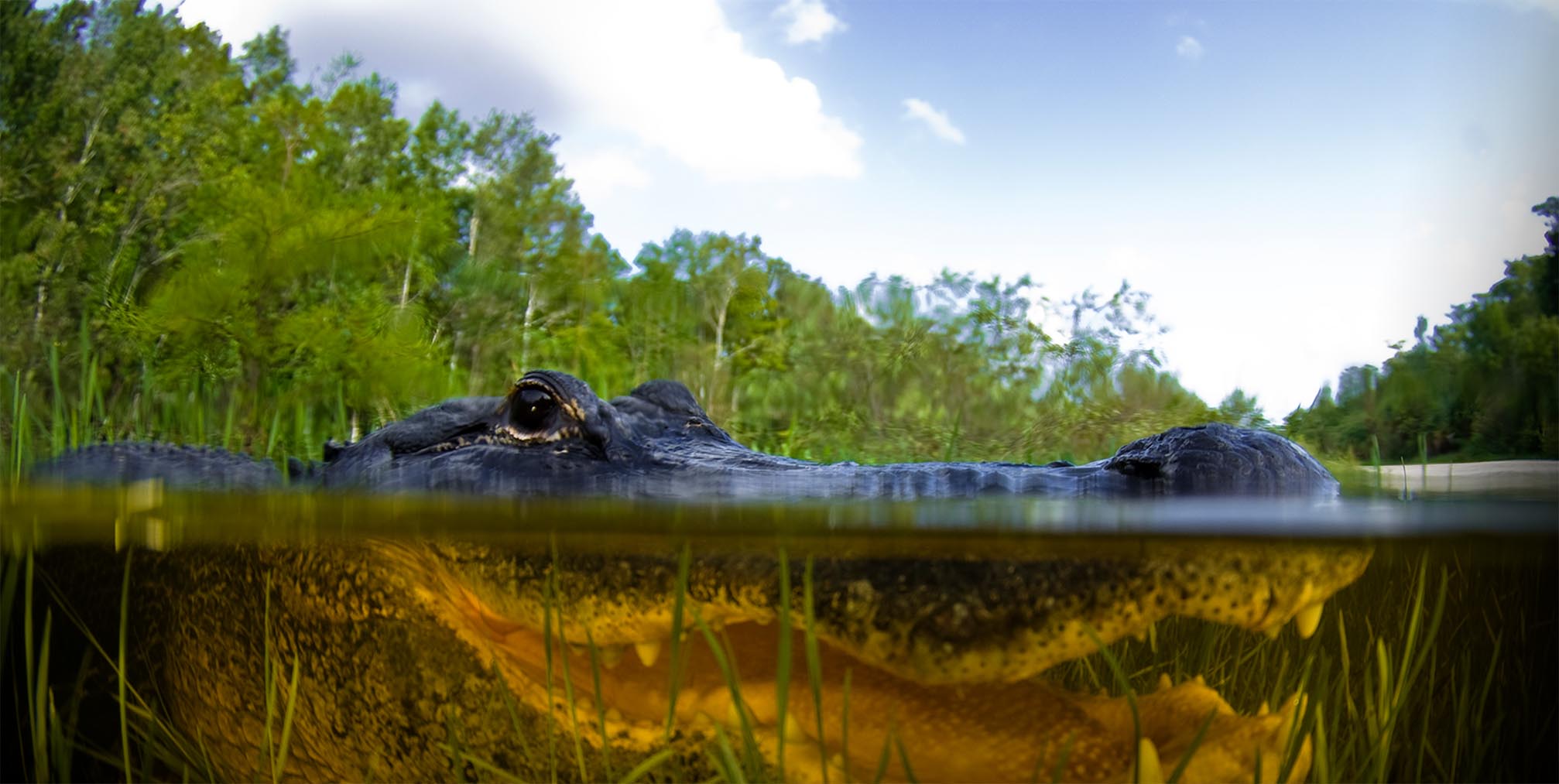 Airport camping, airboat cruising AOPA