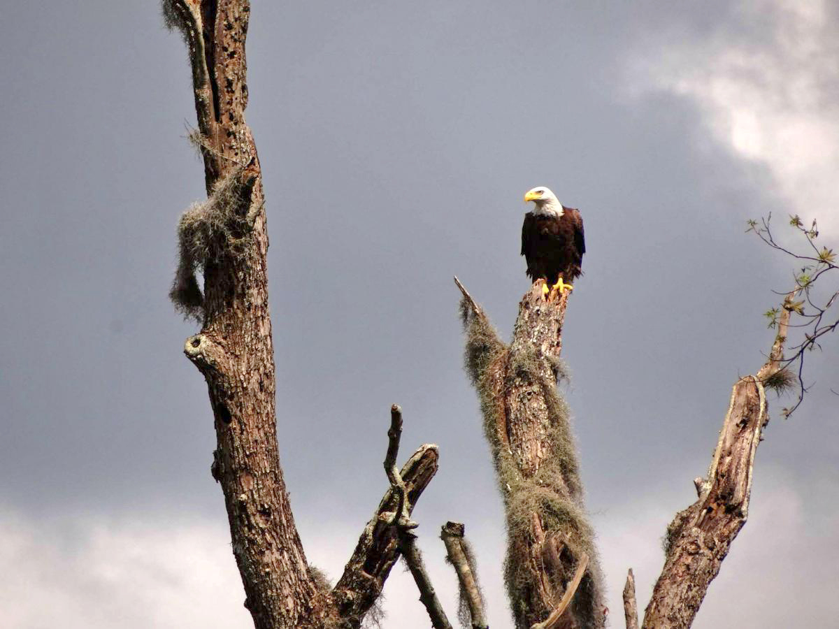 Airport camping, airboat cruising AOPA