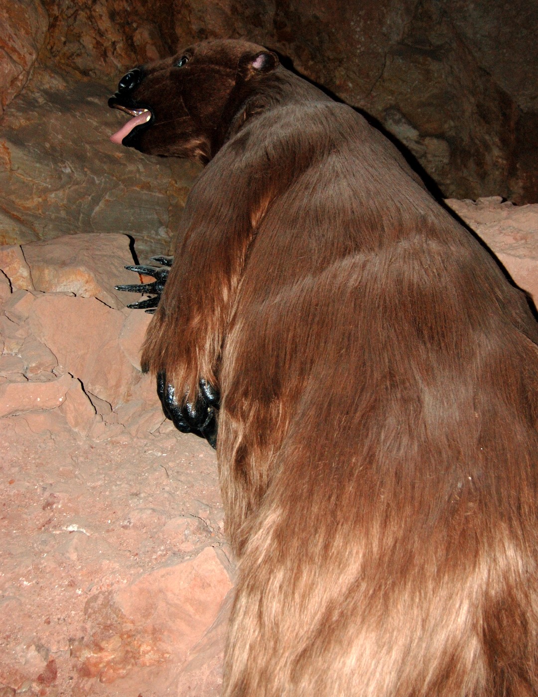 “Gertie,” a replica of the real giant ground sloth that became trapped inside the cavern 11,000 years ago. Her scratch marks are etched into the cave wall above. Photo by Crista Worthy.