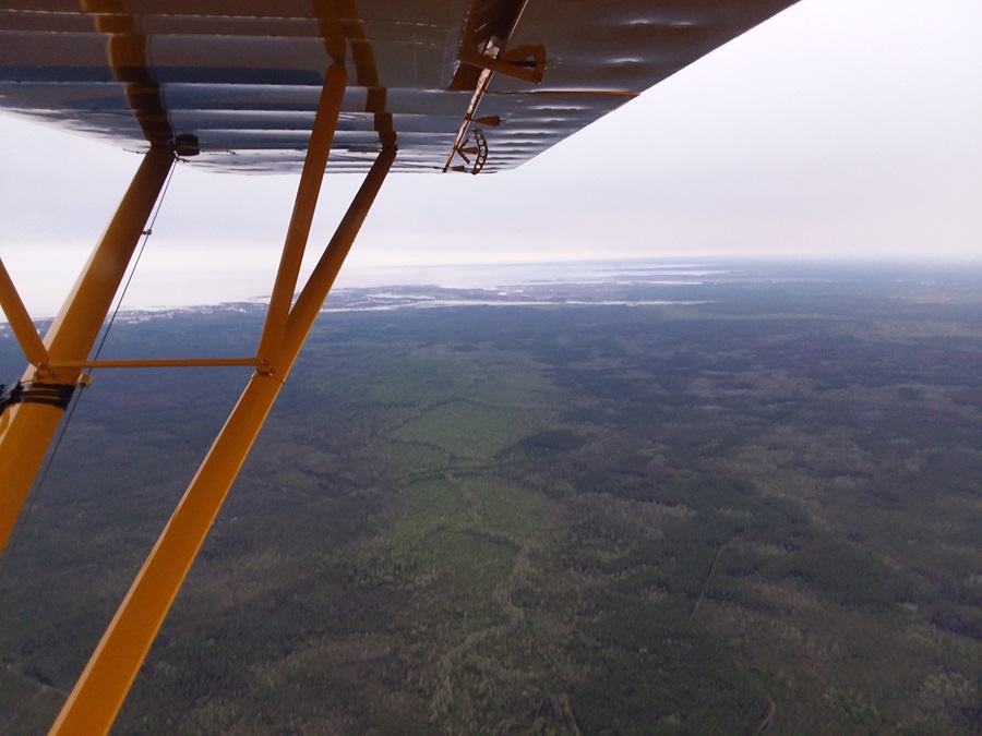 Super Cub's journey to Sun 'n Fun