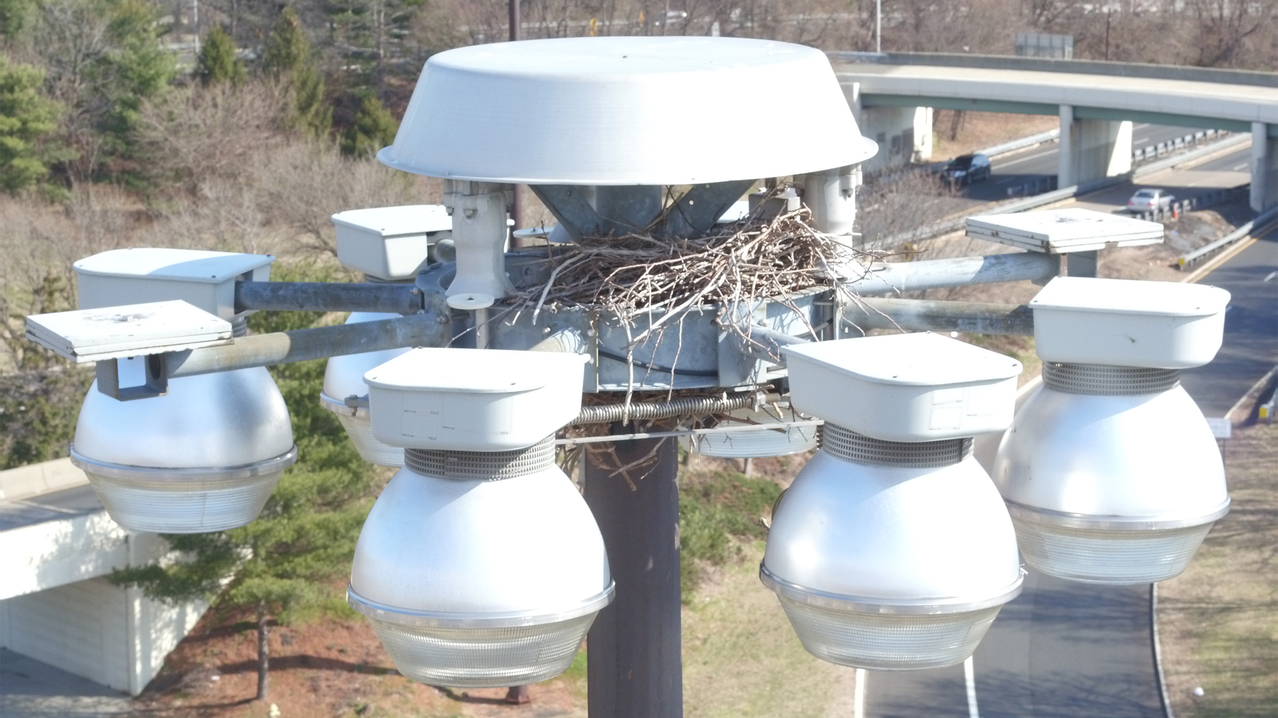 The view from a drone flying near the top of a 100-foot light pole. Photo courtesy of George Finlay/Principia.