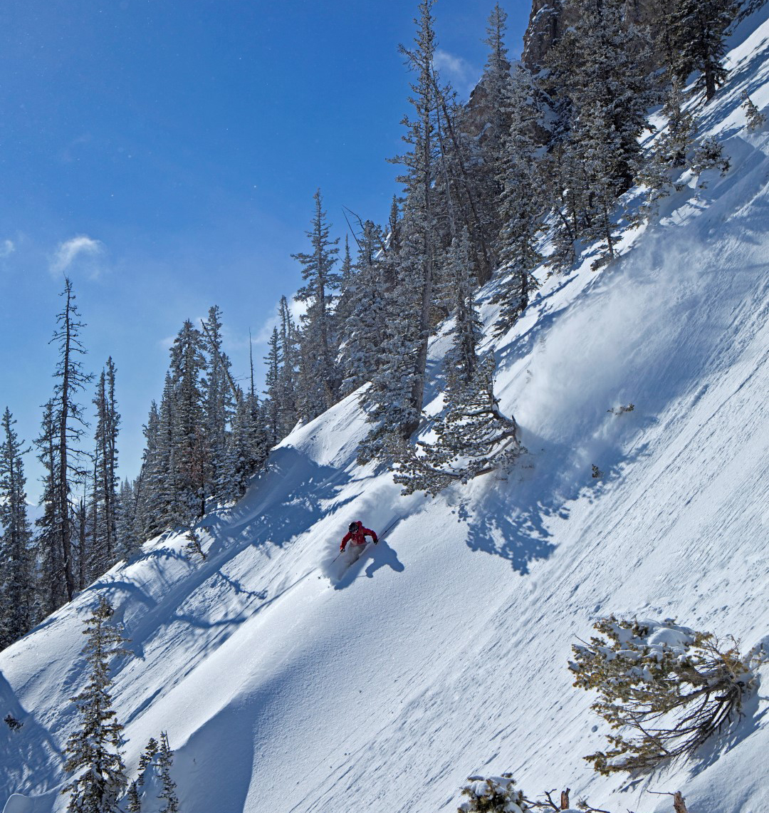 The non-profit, condo-free Bridger Bowl continues to attract self-described “ski freaks,” largely due to the influence of a few locals. In 1977, Tom Jungst moved to Bozeman to join the Montana State University ski racing team. Jungst, Scot Schmidt, and Doug Coombs pioneered extreme terrain in the area and appeared in classic ski films by Warren Miller and Greg Stump. Honing their techniques at Bridger, they helped spark the steep skiing gospel that has since spread worldwide. Pat Clayton photo courtesy Bridger Bowl.