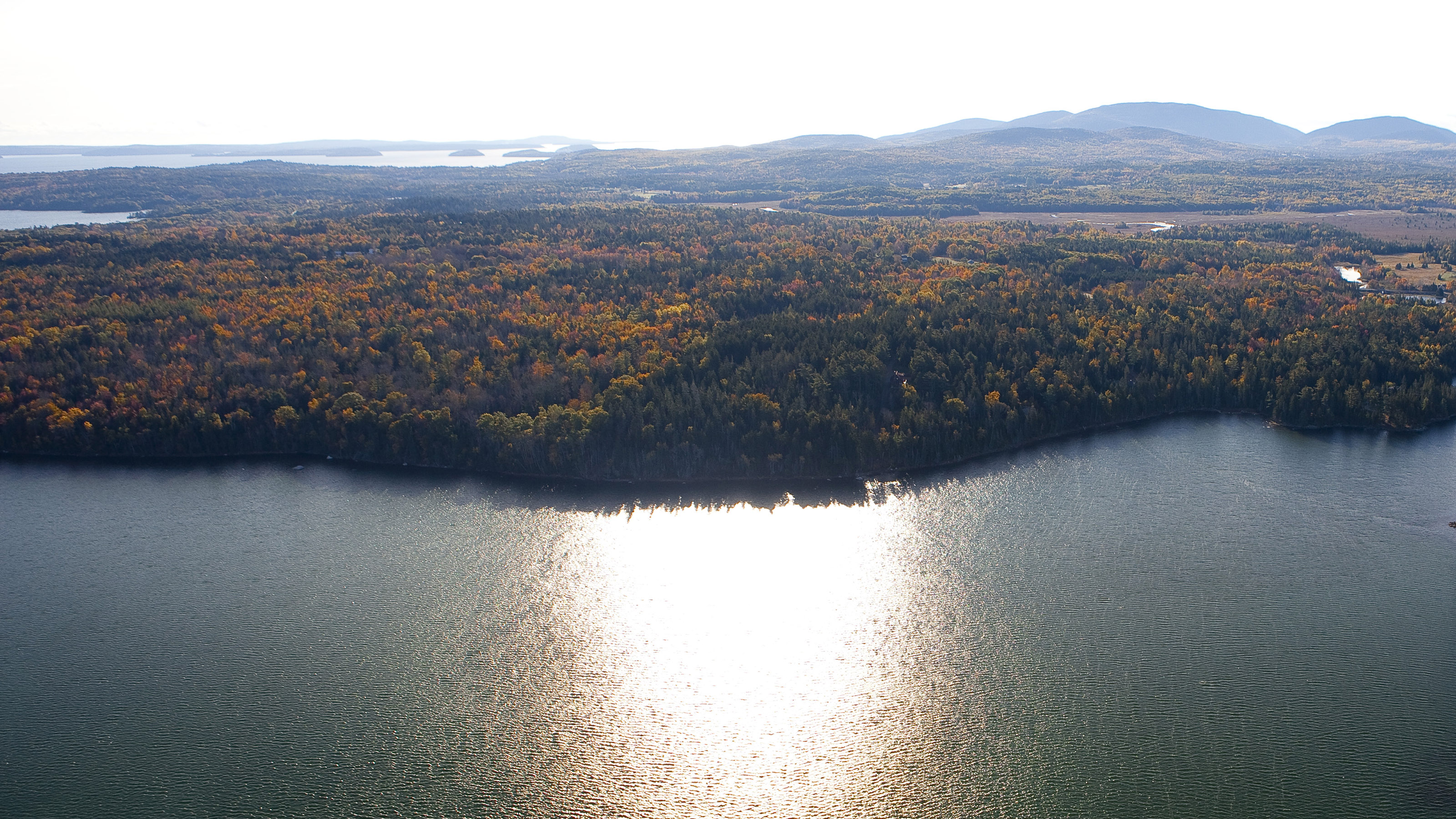 Photo by Christopher Rose.