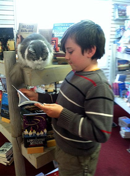 Nicholas shares a book with Emily Grace, the friendly resident feline at the Edisto Bookstore. Photo courtesy Edisto Bookstore. 