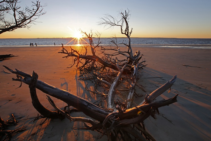 Driftwood Beach on Jekyll Island, Georgia, beckons to pilots based out of nearby Southeastern airports. The island is about a two-hour general aviation aircraft flight from Atlanta; Columbia, South Carolina; and Montgomery, Alabama. Photo by David Tulis.