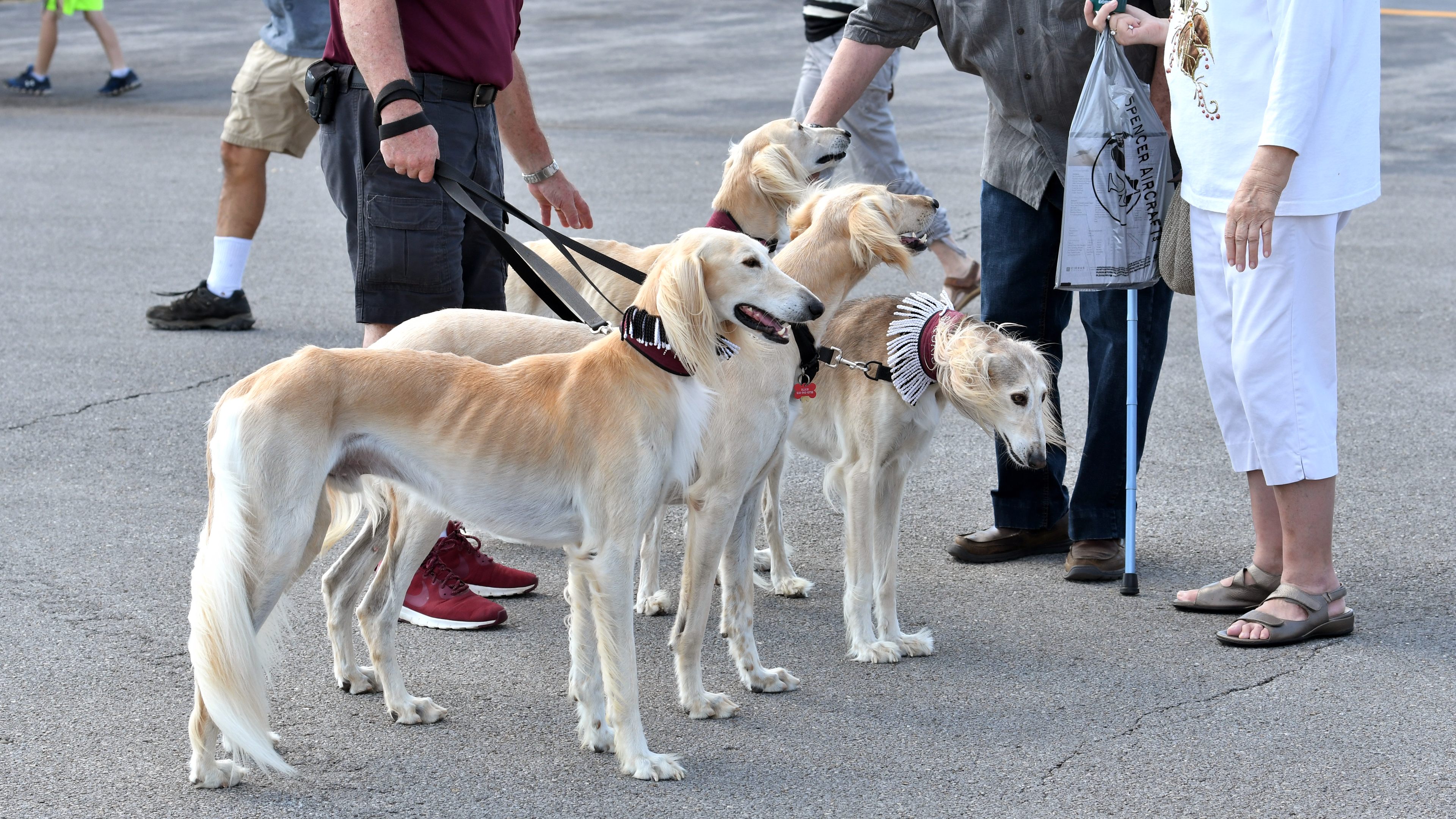 AOPA's Carbondale Fly-In