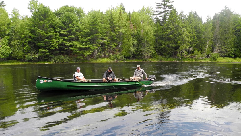 The pristine and tranquil St. Croix River forming the border between Maine and New Brunswick, Canada, teems with smallmouth bass, largemouth bass, pickerel, chub, and other fish. Bald eagle sightings are common.