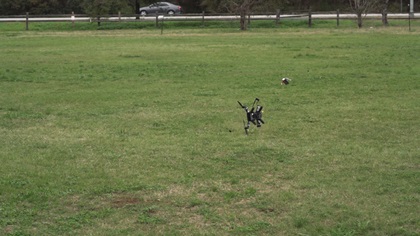 Drone without Failsafe. Photo courtesy of Verity Studios.